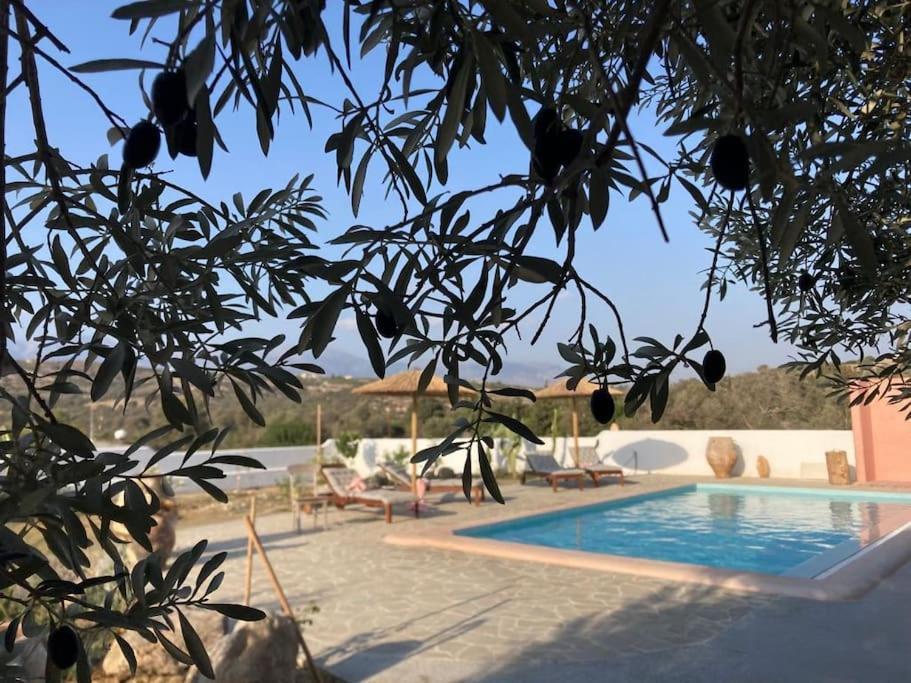 Villa Louloudia Stylish Luxury Villa With Private Pool Pitsidia Dış mekan fotoğraf