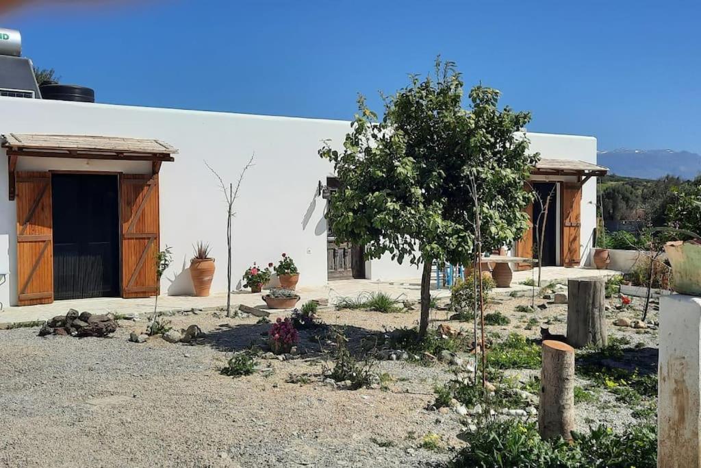 Villa Louloudia Stylish Luxury Villa With Private Pool Pitsidia Dış mekan fotoğraf