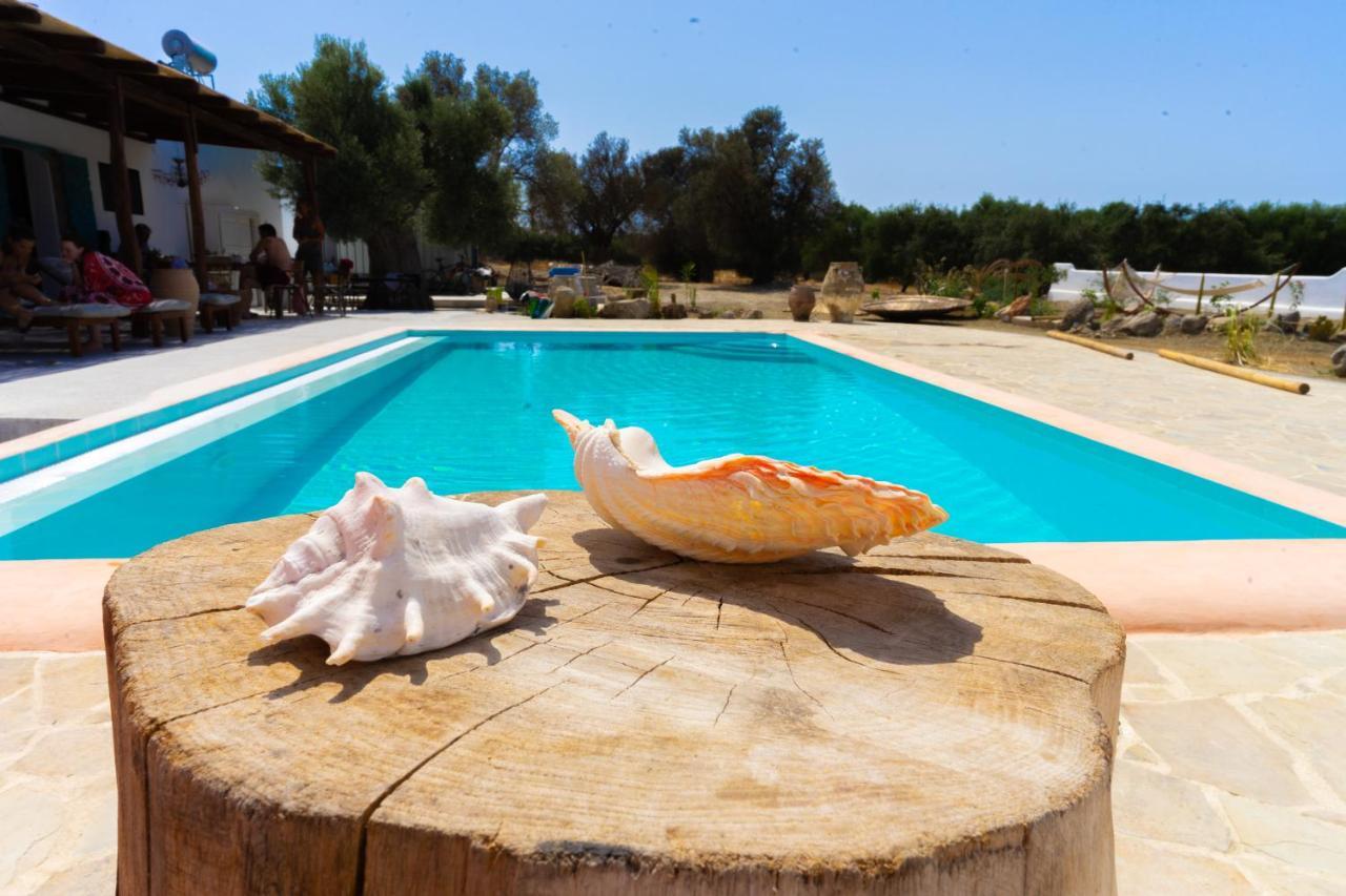 Villa Louloudia Stylish Luxury Villa With Private Pool Pitsidia Dış mekan fotoğraf